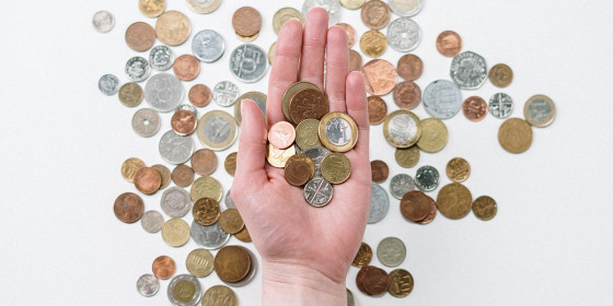 Verschiedene Münzen liegen auf einer offenen Handfläche